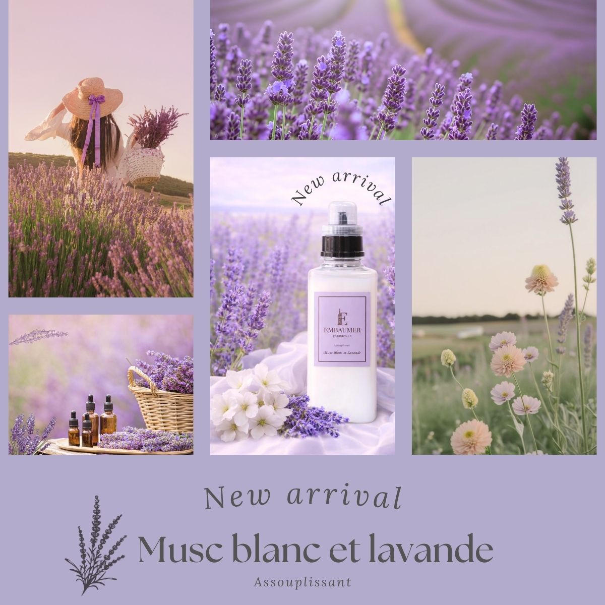 ムスクブランエラヴァンド